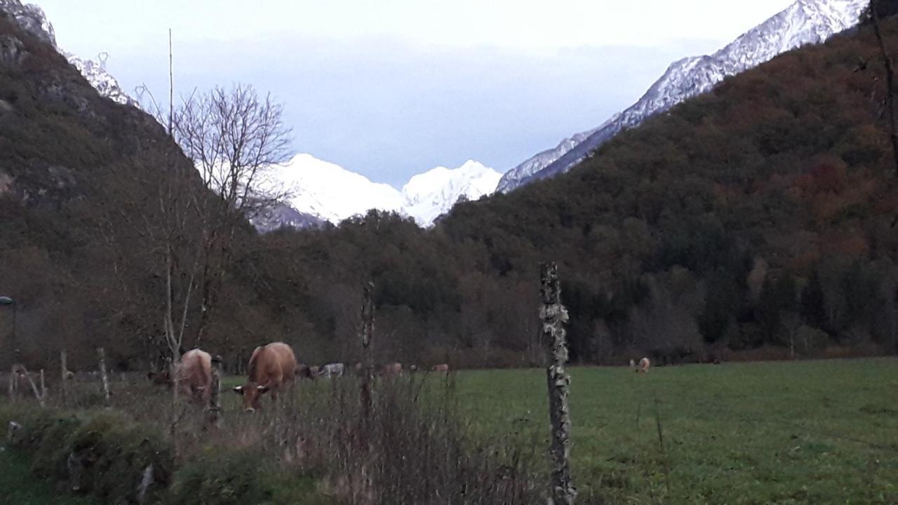 L'Or De Fabiol Villa Orlu Dış mekan fotoğraf